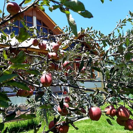 Heavenly Daze Cottage Manali (Himachal Pradesh) Luaran gambar