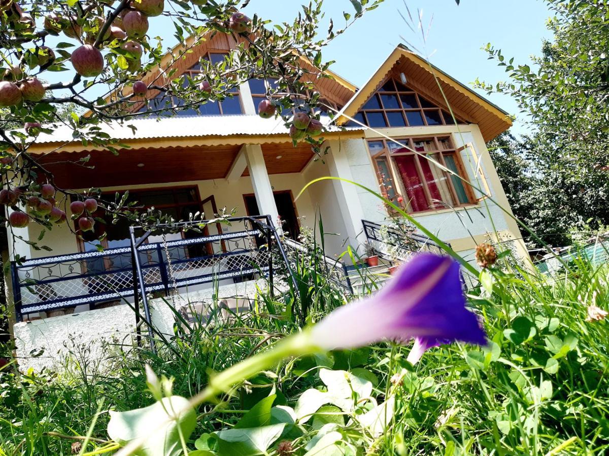 Heavenly Daze Cottage Manali (Himachal Pradesh) Luaran gambar